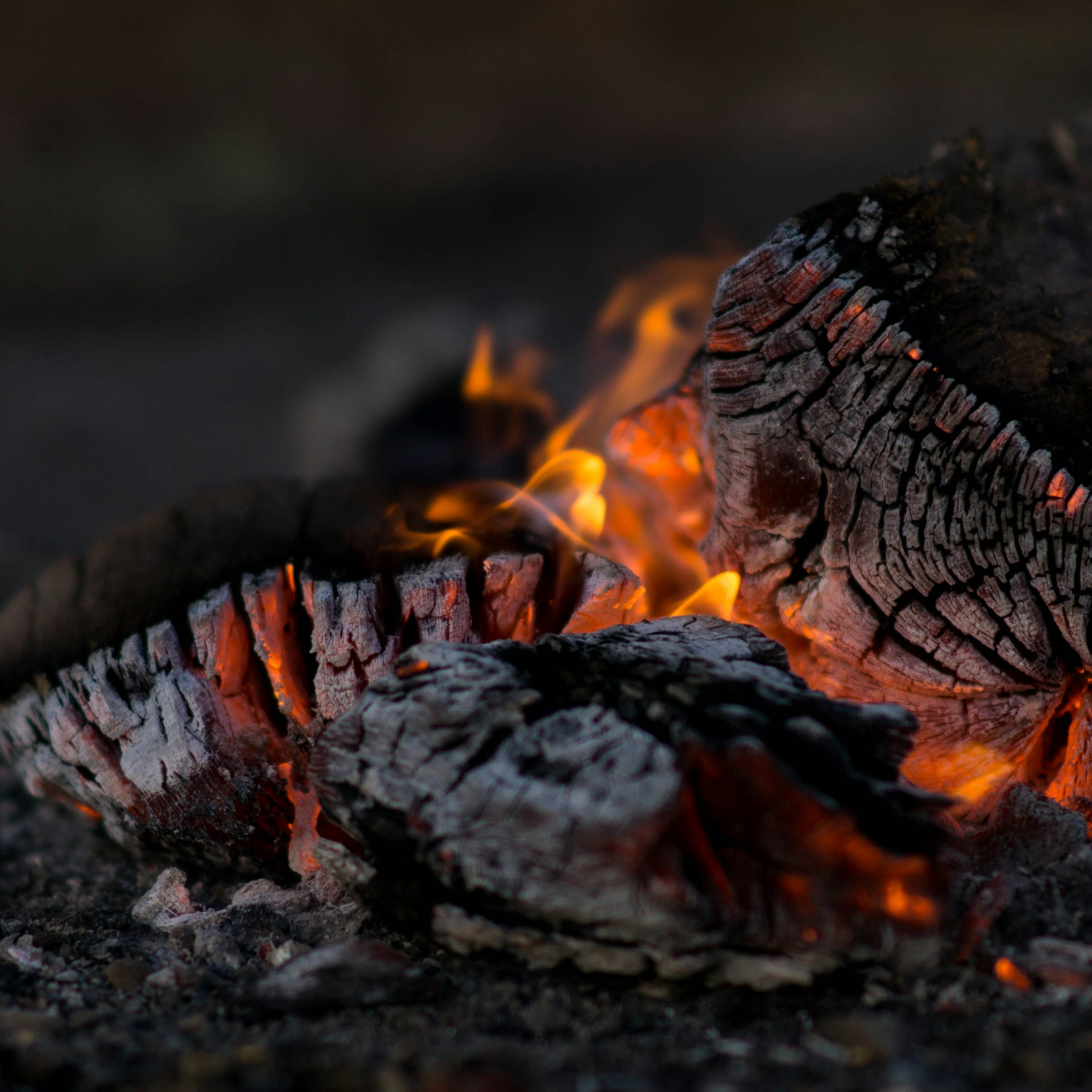 Fire / grill — flames on cut