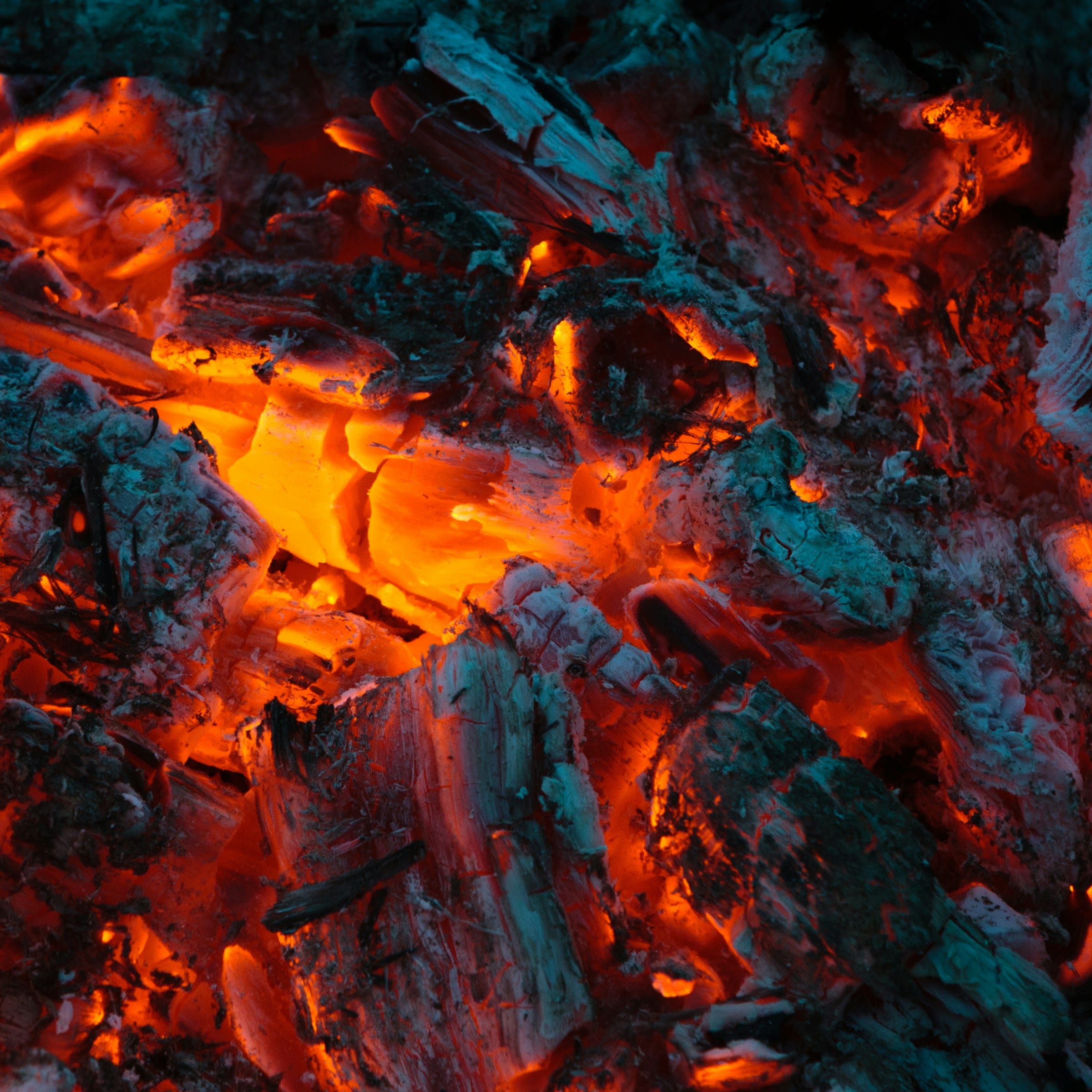 Fire / grill · catering tray